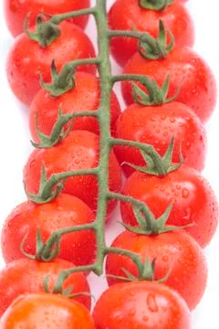 Cherry vine tomatoes over white background Stock Photos