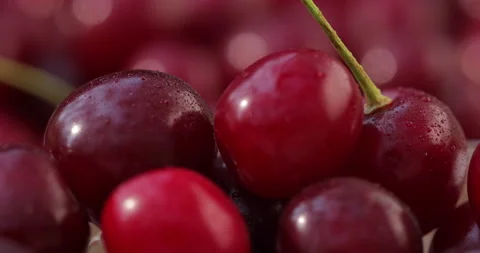 Cherry Water Droplets with Rotating Fruit Behind Видео 135628642