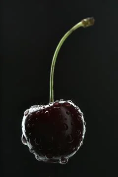 Cherry with water drops Stock Photos