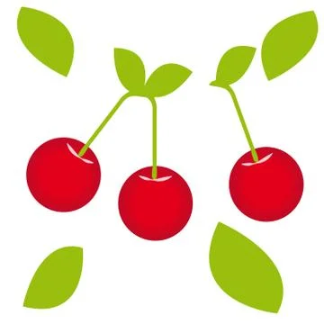 Cherry on white background Stock Illustration