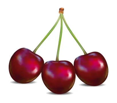 Cherry on a white background. Stock Illustration