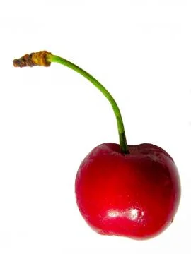 Cherry on white background Stock Photos