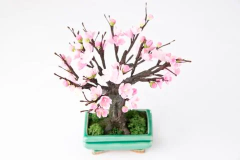 Cherry on a white background Stock Photos