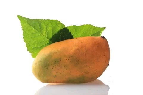 Cherry on white Background 스톡 사진