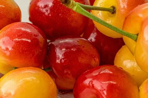 Cherry on a white background. Red and yellow berry closeup macro. Blurred Stock Photos