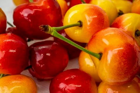 Cherry on a white background. Red and yellow berry closeup macro. Blurred bac Stock Photos