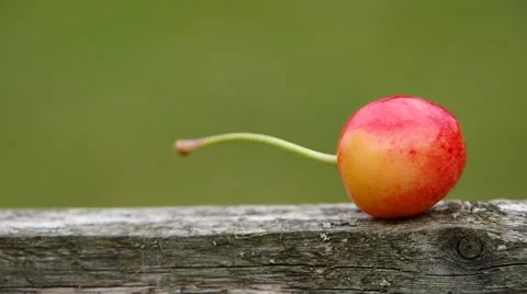 Cherry on a wooden board Stock Footage 52209701
