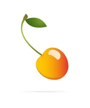 Cherry, yellow berry with leaf. Isolated fruit on white background. Vector il Illustrazione stock