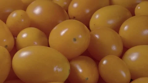 Cherry yellow tomatoes close up. Ripe vegetables. Miniature vegetable. Stockbeeldmateriaal 143782345