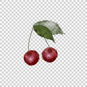 Cherry5 Stock Illustration