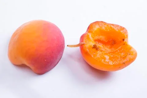 Cherrybark Moth Stock Photos