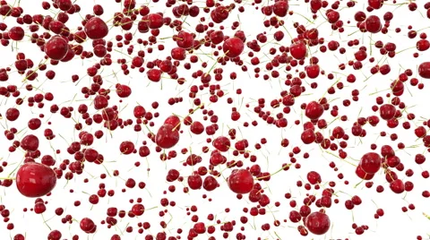 Cherrys falling with water drops.Realistic animation.Isolate  Stock Footage 68974625