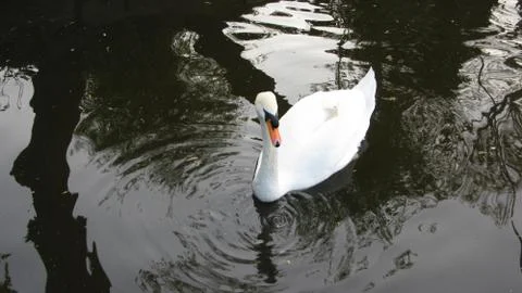 Chertsey on the Thames Stock-Fotos