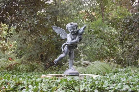 Cherub Dolphin Stock Photos