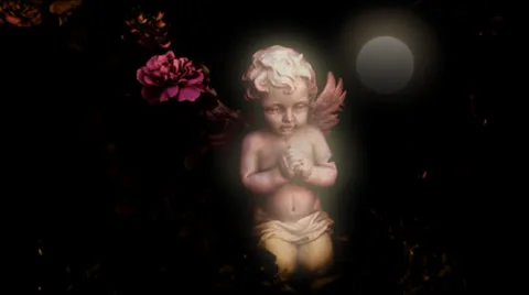 Cherub Praying in Moonlight Roses Stock Footage 24917156