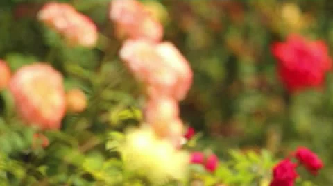 Cherub Sculpture 02 Stock Footage 12150831