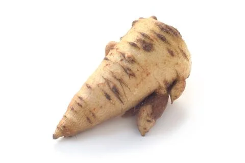 Chervil Bulb Stock Photos