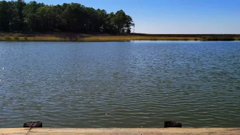 Chesapeake Bay Waters Seamless Looping Video at Janes Island in Maryland Video stock 267638355