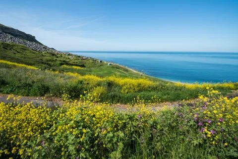 Chesil beach Stock Photos