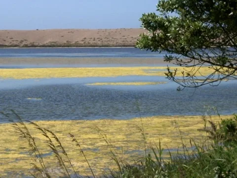 Chesil Video stock 490211