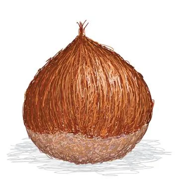 Chesnut isolated Stock Illustration