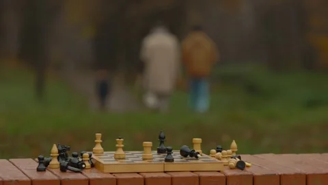 Chess and checkmate. Completed game of chess in the autumn park. Stock Footage 271325916