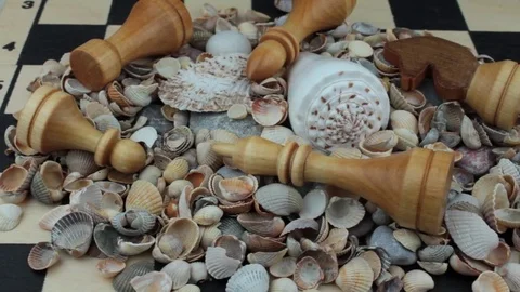 Chess and seashells Stock Footage 81124886