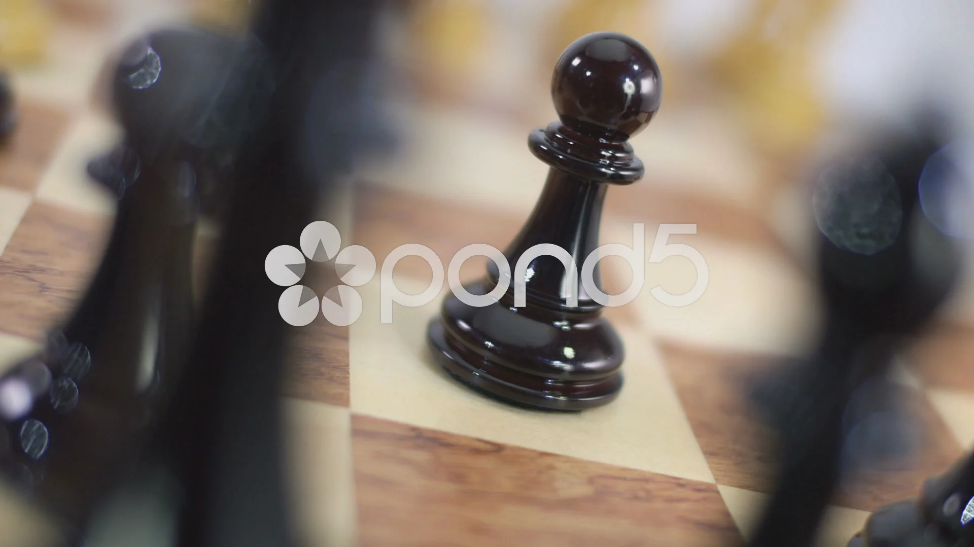 Close Up Of Chess Board Pieces With Player Hand Moving Chess Piece Creating  Shadow Free Stock Video Footage Download Clips Education