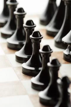 Chess on board. Stock Photos
