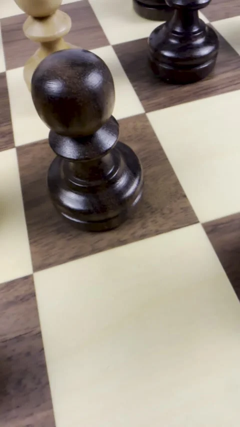 Chess board pieces Stock Footage 310177500