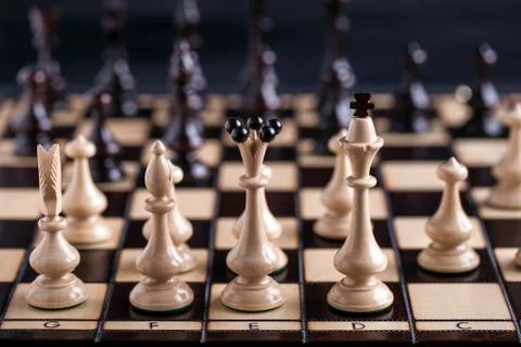 Chess on the chess board Stock Photos