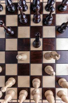 Chess on the chess board Stock Photos