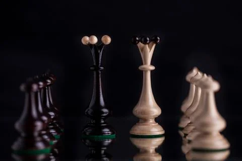Chess on the chess board Stock Photos