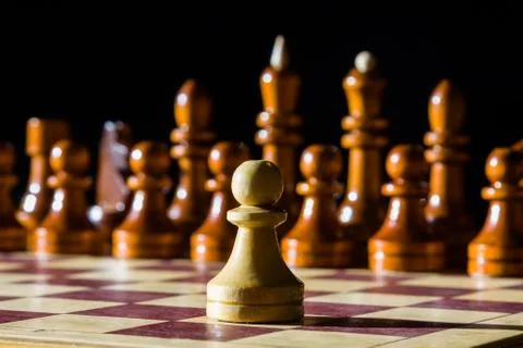 Chess on a chess board Stock Photos