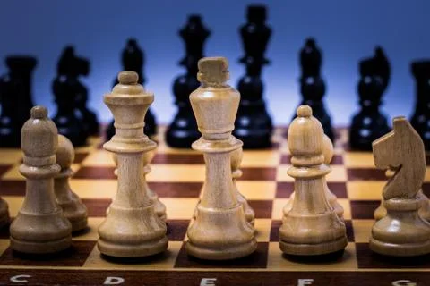 Chess on a chessboard Stock Photos