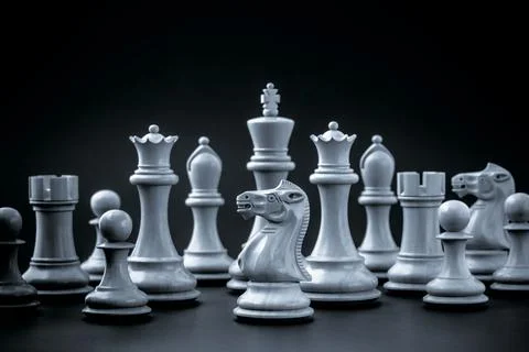 Chess concept save the king and save the strategy. Stock Photos