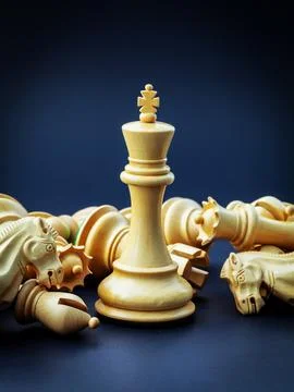 Chess concept save the king and save the strategy. Stock Photos