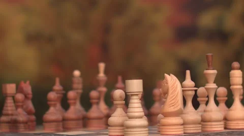 Chess field in the garden Video stock 62972140