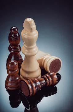 Chess figures on black background Stock Photos
