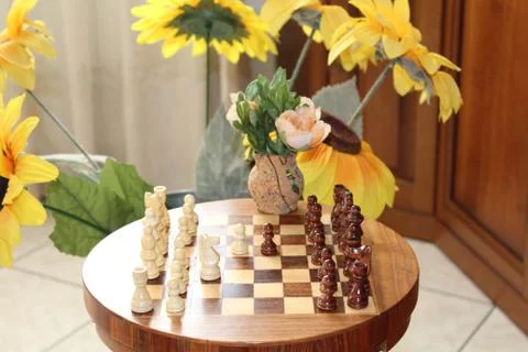 Chess &amp; game of checkers Stock Photos