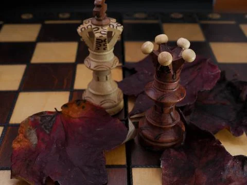 Chess game concept for competition idea and strategy Stock Photos