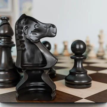 Chess game isolated on white background Stock Illustration