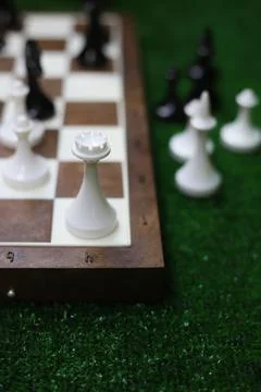 Chess game  Stock Photos
