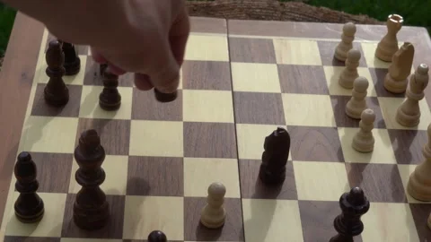 Chess game, playing chess, intelligence, board game, outdoors, recreation Stock Footage 262680515