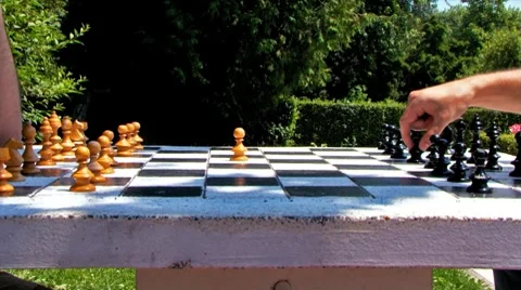 Chess Game Timelapse High Speed Park Summer Vídeo Stock 8508588