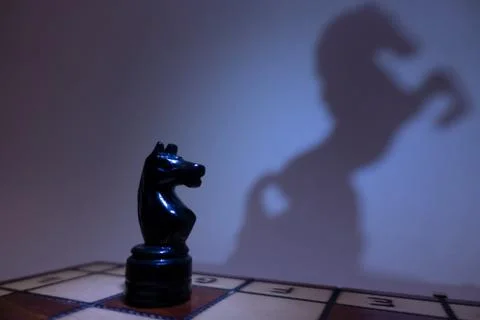 Chess horse Stock Photos