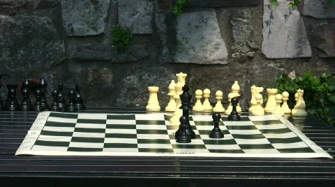 Chess lesson part one Video stock 97918