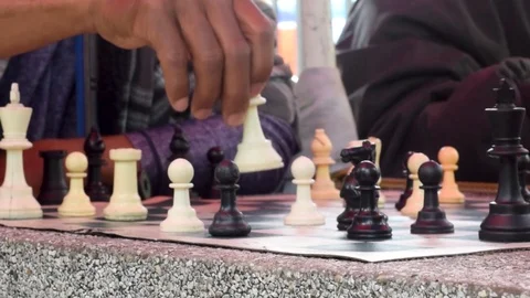 Chess match at the park Stock Footage 102570289