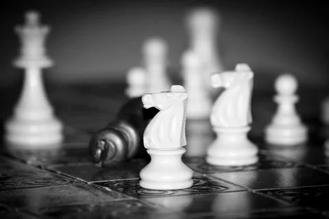 Chess photographed on a chessboard Stock Photos