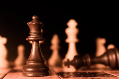 Chess photographed on a chessboard Foto stock